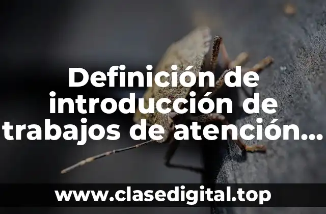 Definición de introducción de trabajos de atención a clientes