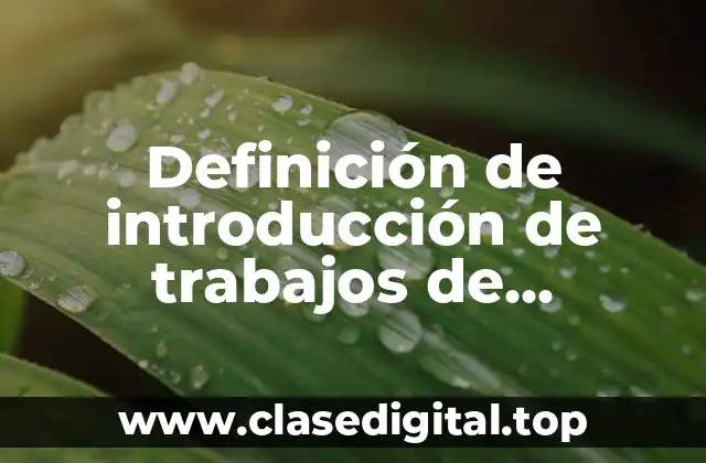 Definición de introducción de trabajos de investigación de manera divertida