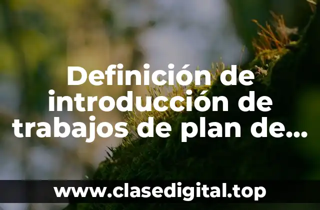 Ejemplos de introducción de trabajos de plan de vida
