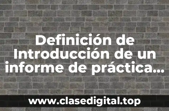 Definición de Introducción de un informe de práctica profesional