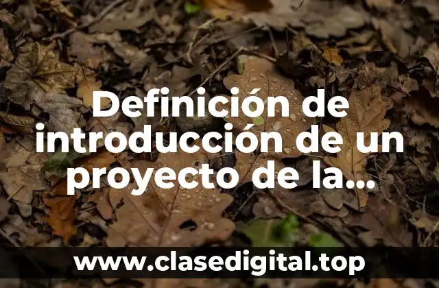Definición de introducción de un proyecto de la contaminación