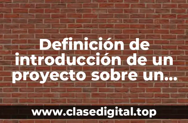 Definición de introducción de un proyecto sobre un producto innovador