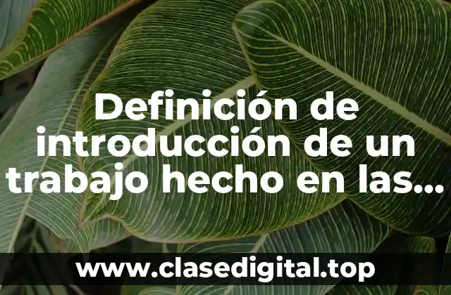 Definición de introducción de un trabajo hecho en las plantas