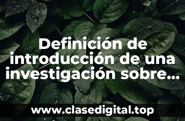 Definición de introducción de una investigación sobre practicas profesionales
