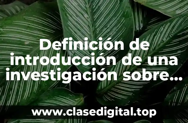 Definición de introducción de una investigación sobre teoría de sistemas