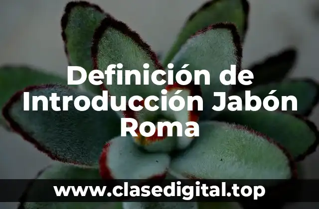 Definición de Introducción Jabón Roma