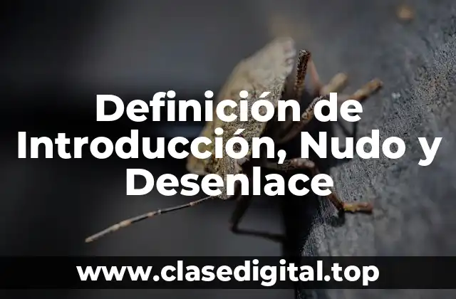Definición de Introducción, Nudo y Desenlace