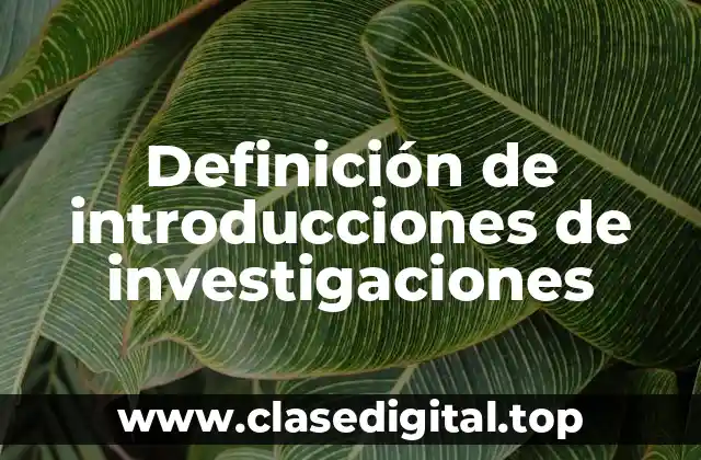 Definición de introducciones de investigaciones