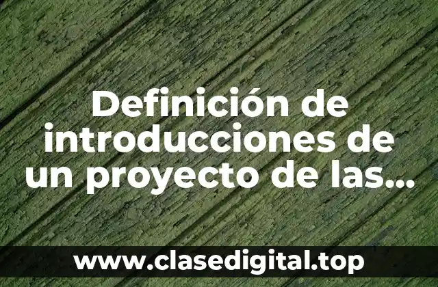 Definición de introducciones de un proyecto de las 5S