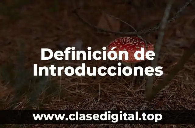 Definición de Introducciones