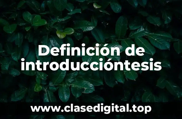 Definición de introduccióntesis