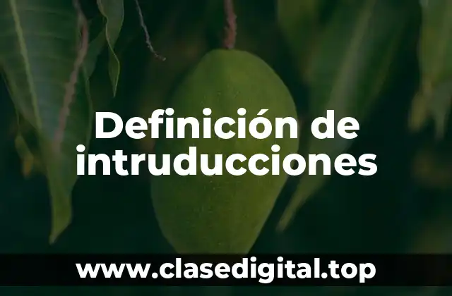 Definición de intruducciones