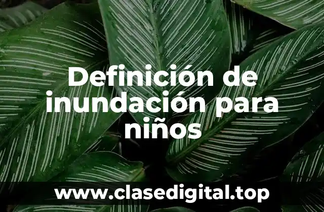 Definición de inundación para niños