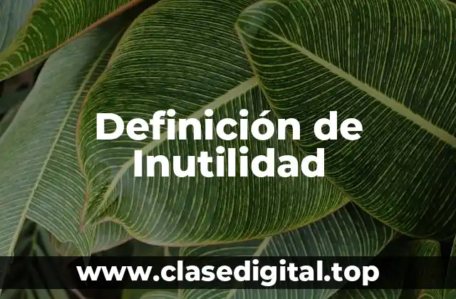 Definición de Inutilidad