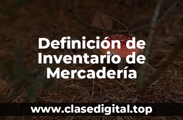 Definición de Inventario de Mercadería