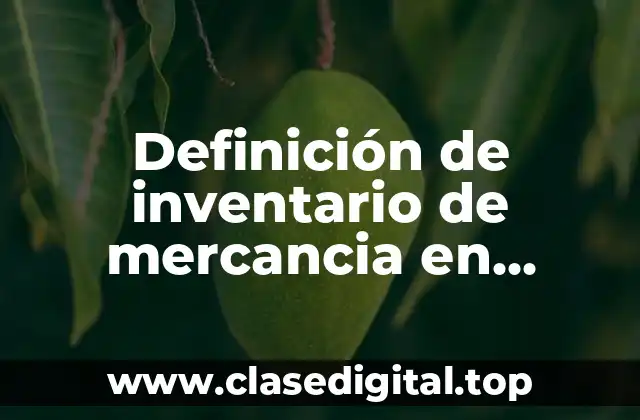 Definición de inventario de mercancia en contabilidad