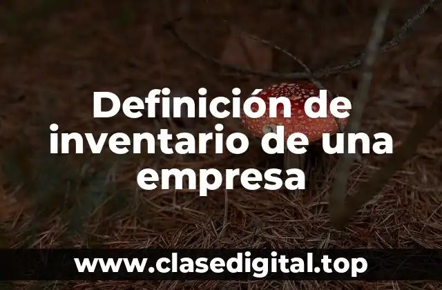 Definición técnica de inventario de una empresa