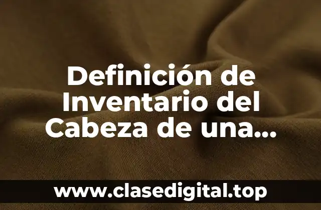 Definición de Inventario del Cabeza de una Empresa Mediana