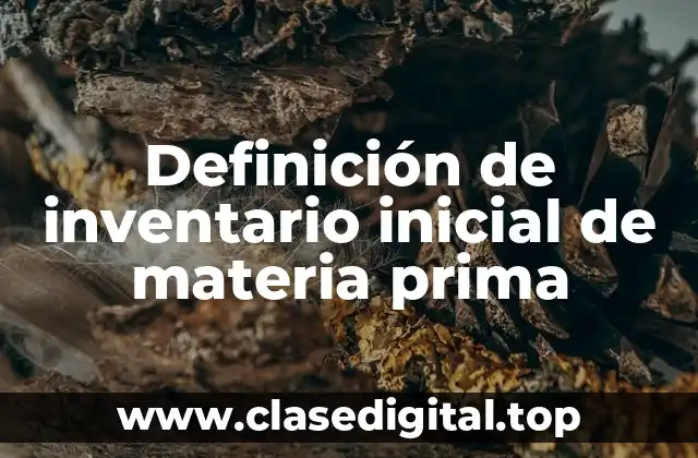 Definición técnica de inventario inicial de materia prima