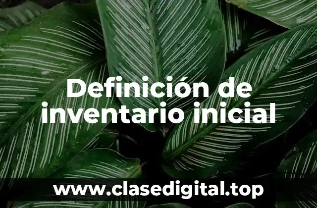 Definición de inventario inicial