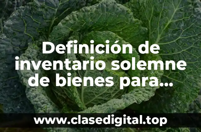 Ejemplos de inventario solemne de bienes para matrimonio civil