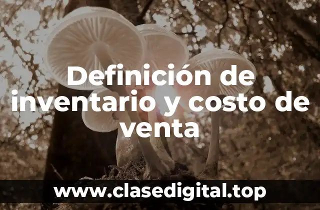Definición de inventario y costo de venta