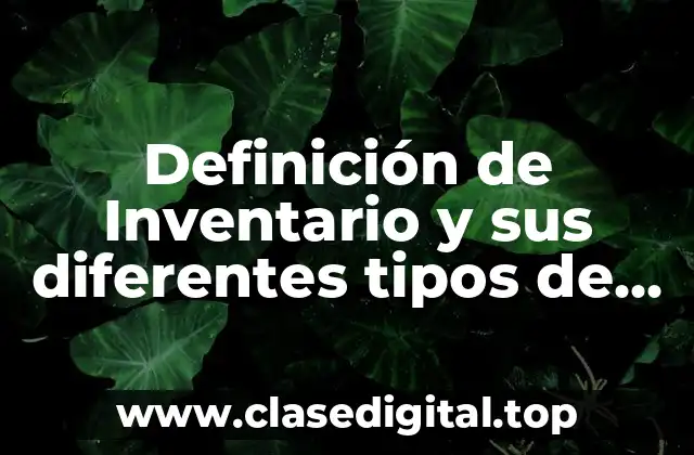 Definición de Inventario y sus diferentes tipos de inventarios