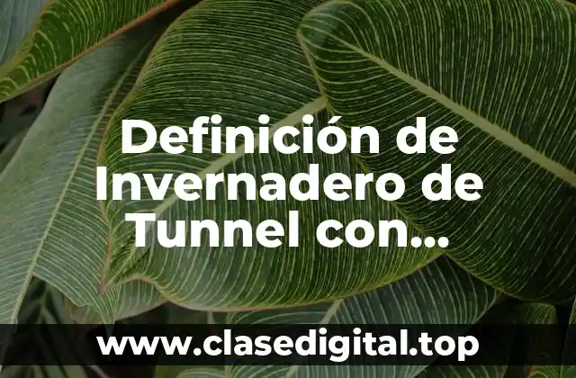 Definición de Invernadero de Tunnel con Ventilación Cenital