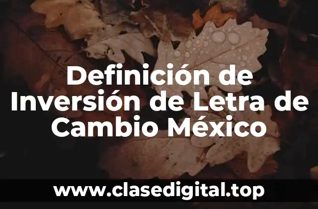Definición de Inversión de Letra de Cambio México