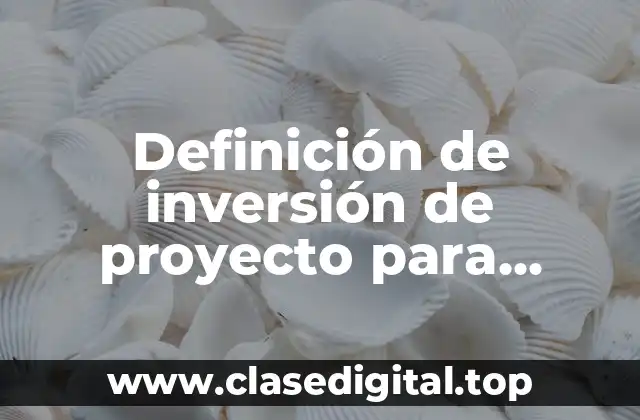 Definición de inversión de proyecto para solicitar un préstamo