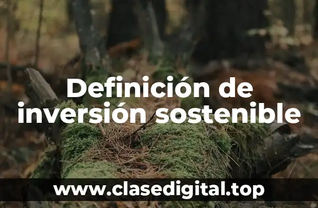 Definición de inversión sostenible