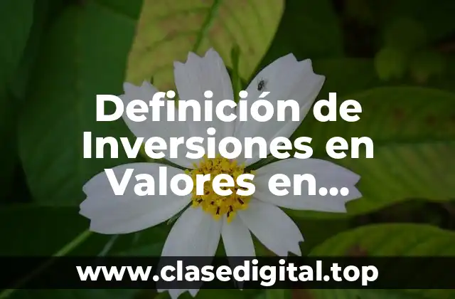 Definición de Inversiones en Valores en Contabilidad