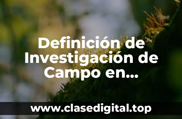 Definición de Investigación de Campo en Estadística