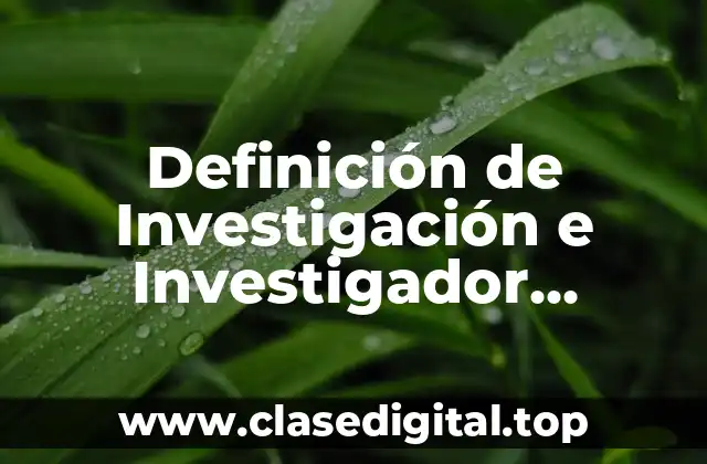 Definición de Investigación e Investigador Personal Docente