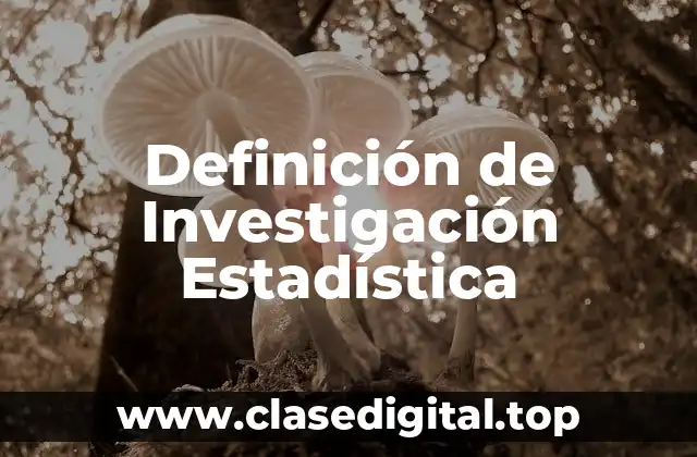 Definición de Investigación Estadística