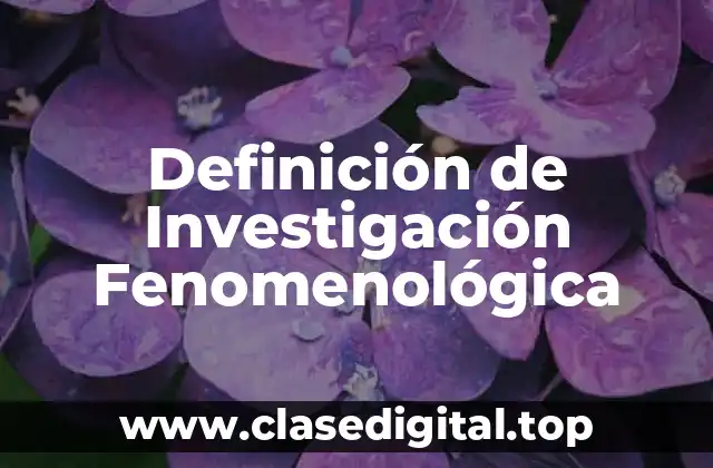 Ejemplos de Investigación Fenomenológica