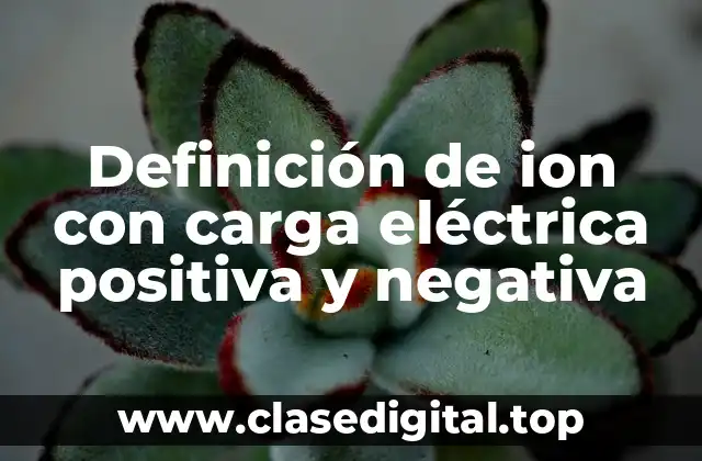 Definición de ion con carga eléctrica positiva y negativa