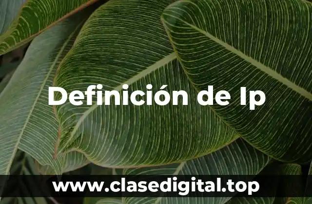 Definición de Ip