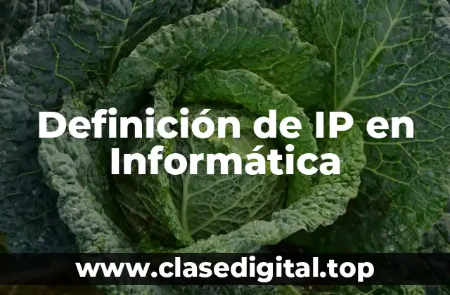 Definición de IP en Informática