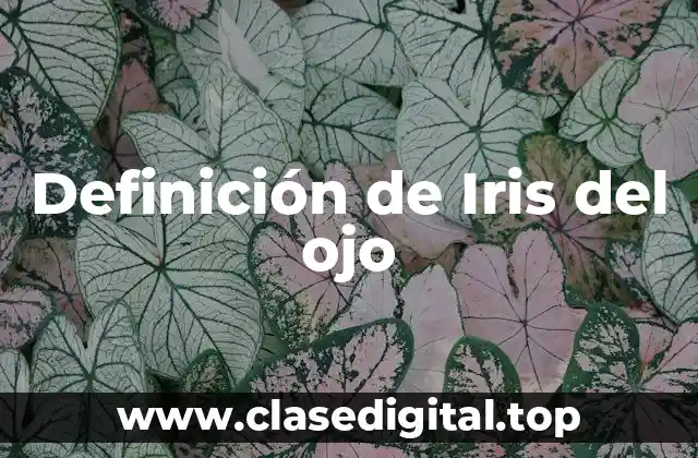 Definición de Iris del ojo