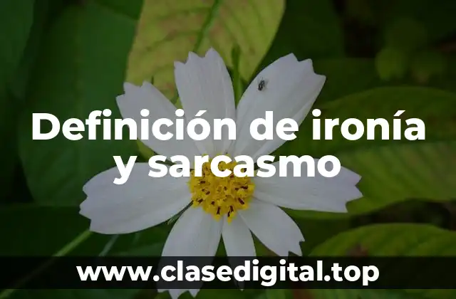 Definición de ironía y sarcasmo