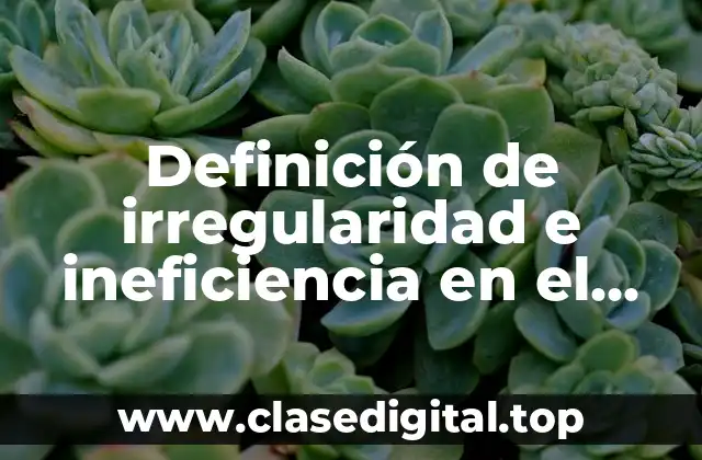 Definición de irregularidad e ineficiencia en el acto administrativo