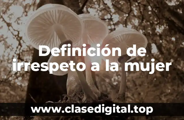 Ejemplos de irrespeto a la mujer