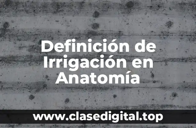 Definición de Irrigación en Anatomía
