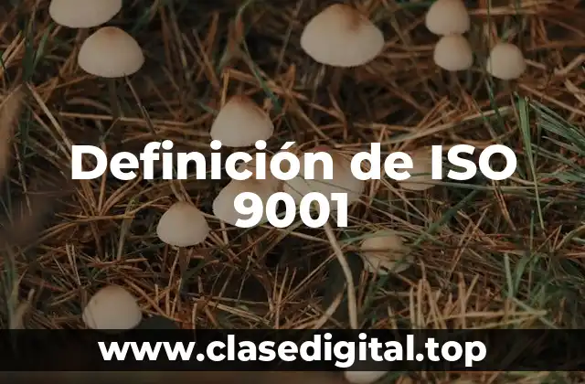 Definición de ISO 9001