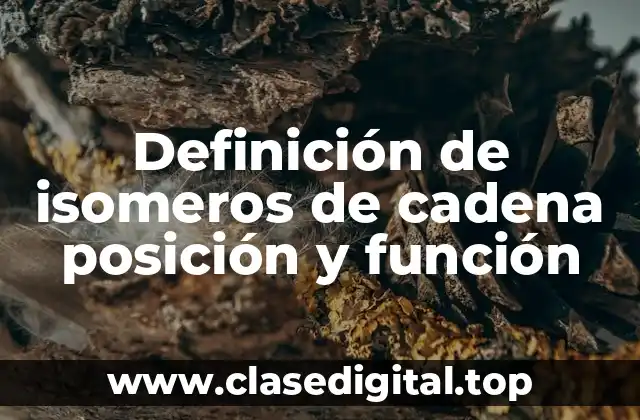 Definición de isomeros de cadena posición y función