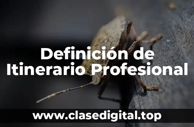 Definición de Itinerario Profesional