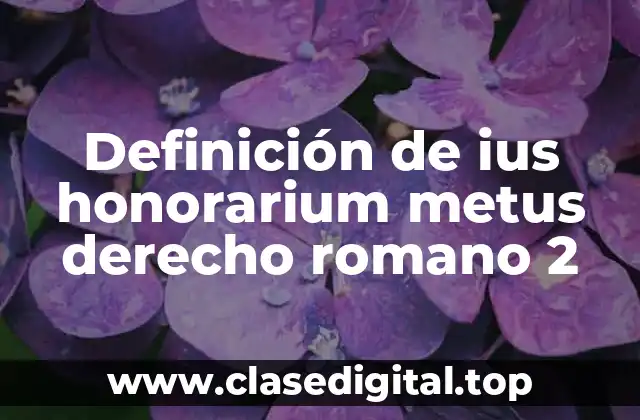 Definición técnica de ius honorarium metus derecho romano 2