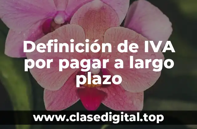 Definición de IVA por pagar a largo plazo