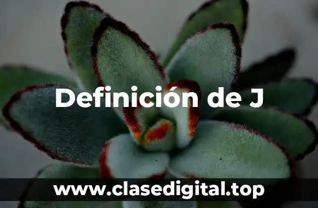 Definición de J